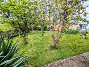 Photo 25- click for photo gallery